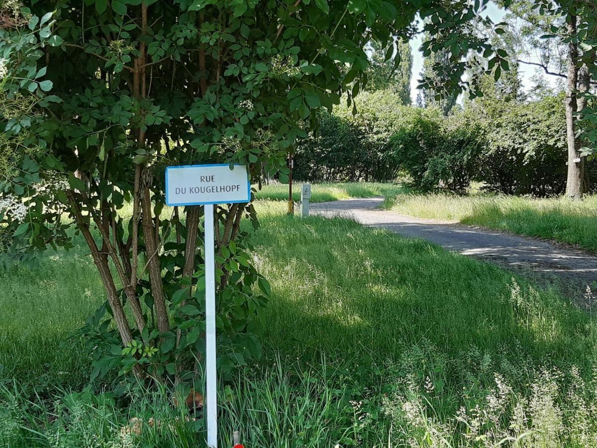 Camping De L'Ill Мюлуз Экстерьер фото